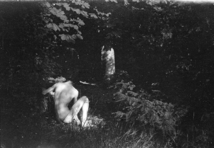 Pierre Bonnard de dos, assis dans l'herbe (prise de vue de Marthe) - Pierre Bonnard