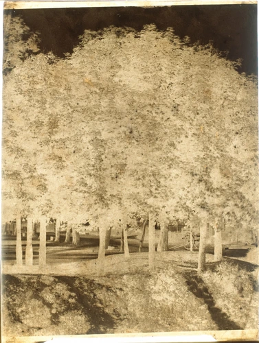 Groupe d'arbres avec une carriole en arrière-plan - Louis Adolphe Humbert de Molard