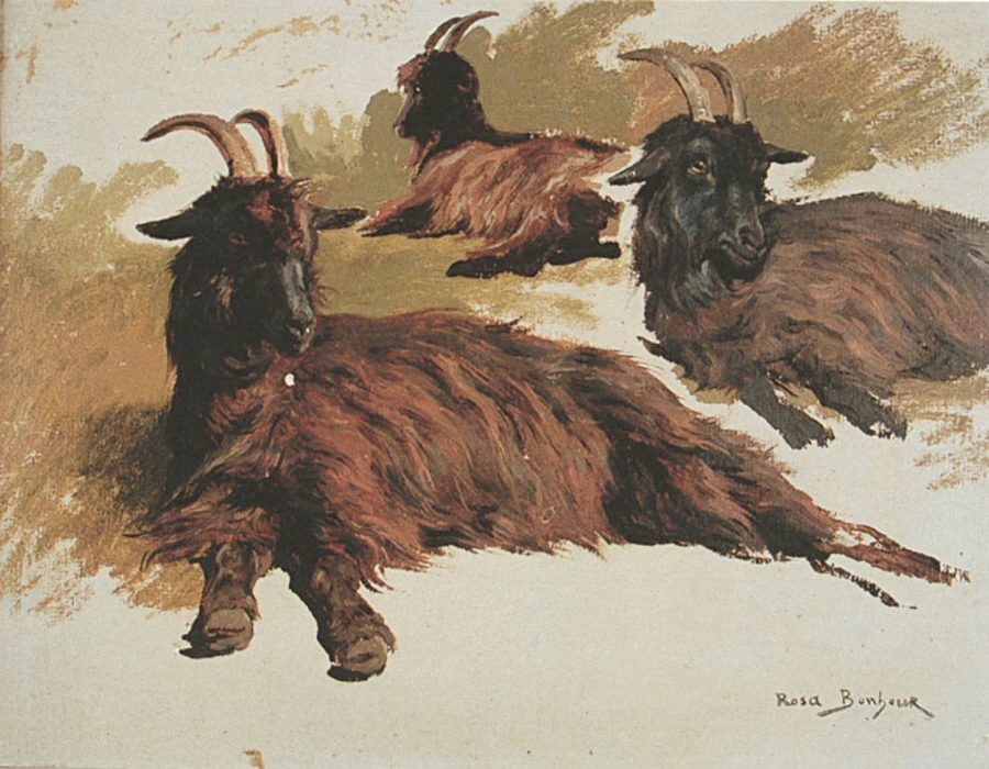 tableau, Rosa Bonheur, Trois chèvres au repos, entre 1822 et 1899