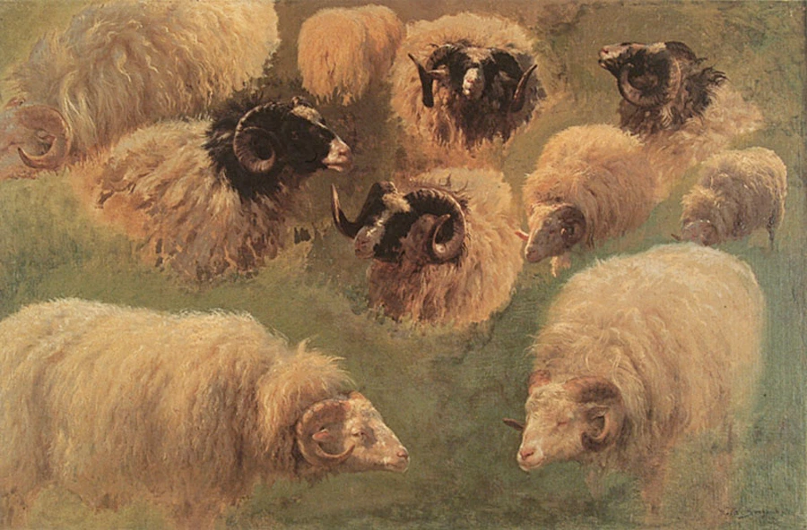 tableau, Rosa Bonheur, Dix études de bélier, entre 1822 et 1899