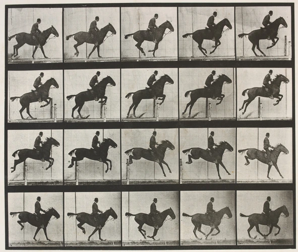 Saut d'obstacle, cheval noir - Eadweard Muybridge