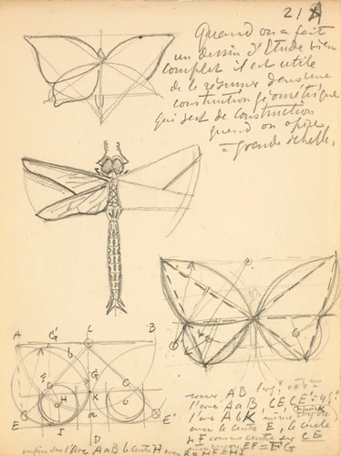 Une libellule - Eugène Grasset