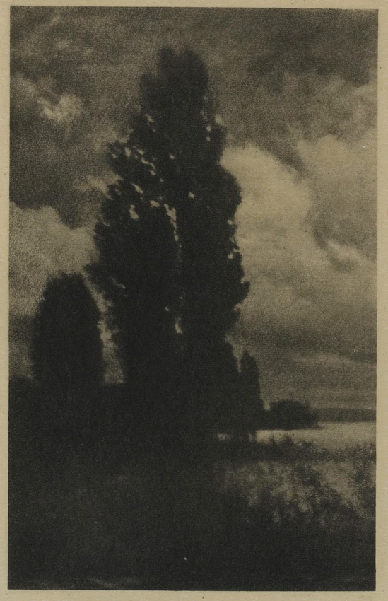 Poplars and Clouds - Hans Watzek