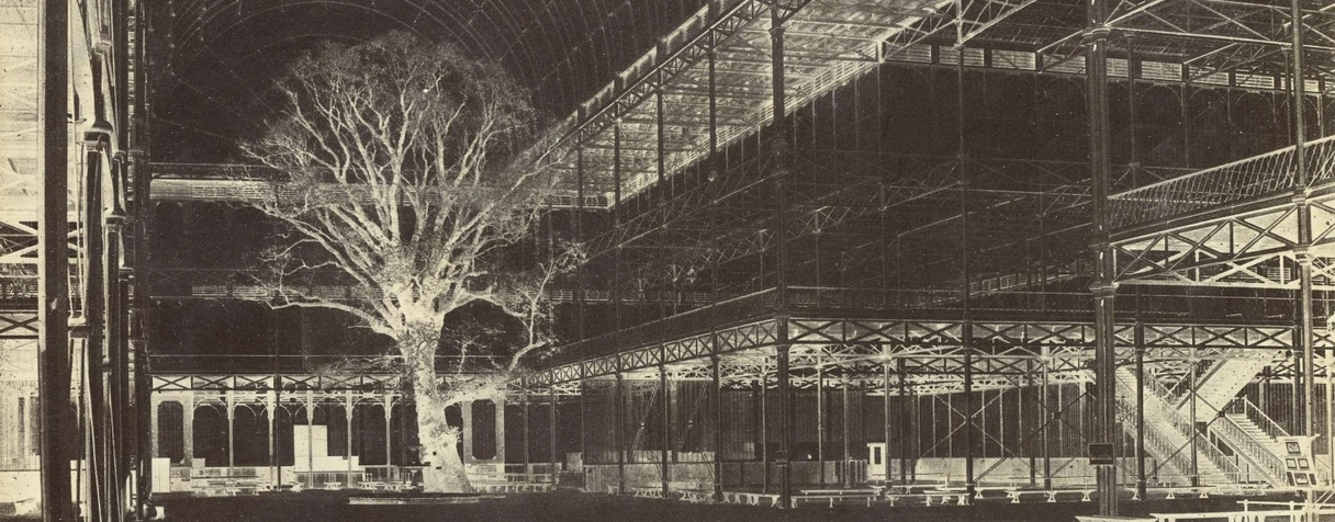 Benjamin Brecknell Turner, Crystal palace, Hyde Park, 1852, Transept