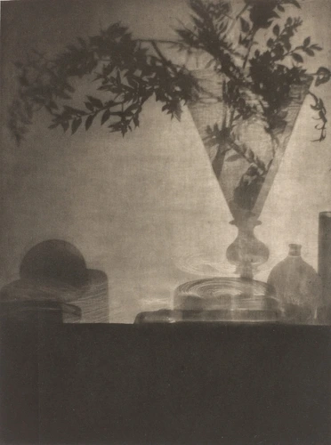 Glass and Shadows - Adolphe Meyer