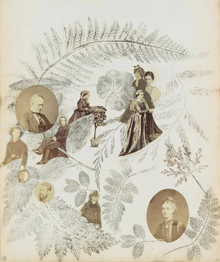 Dix portraits de femmes et d'hommes dans un décor de fougères et diverses plantes - Georgiana Louisa Berkeley