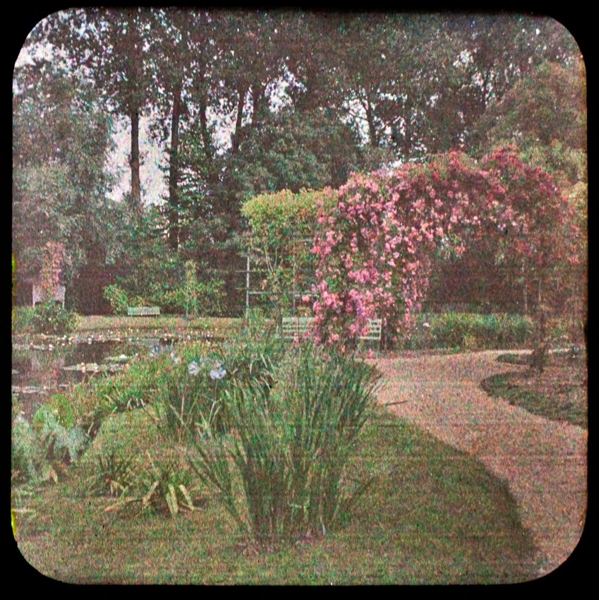 Allée et les nymphéas du jardin de Giverny - Etienne Clémentel