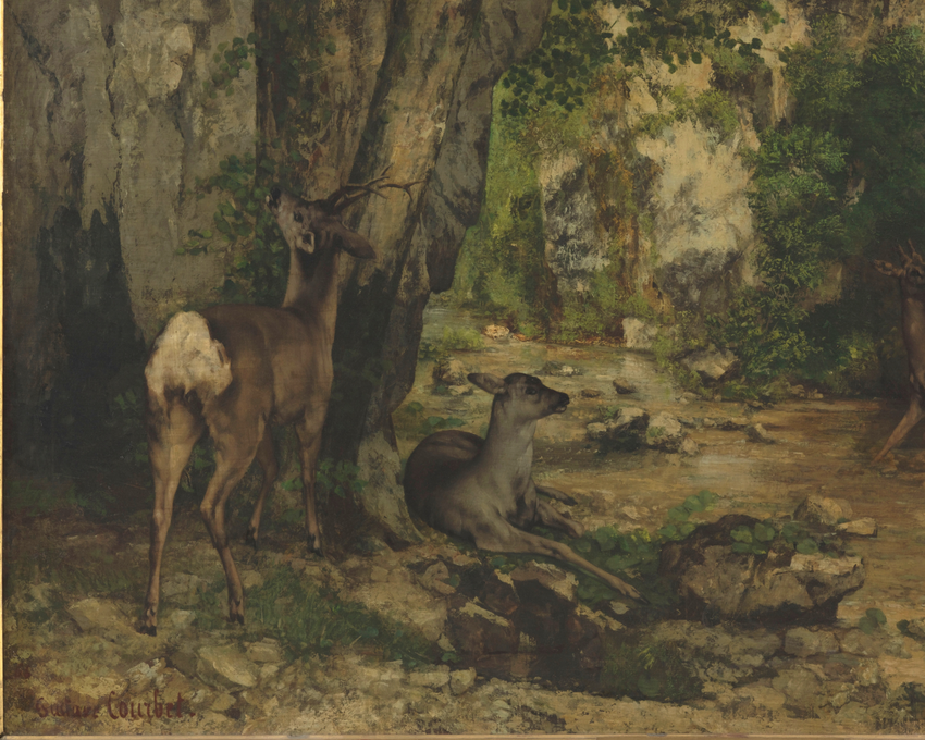 Remise de chevreuils au ruisseau de Plaisir-Fontaine - Gustave Courbet