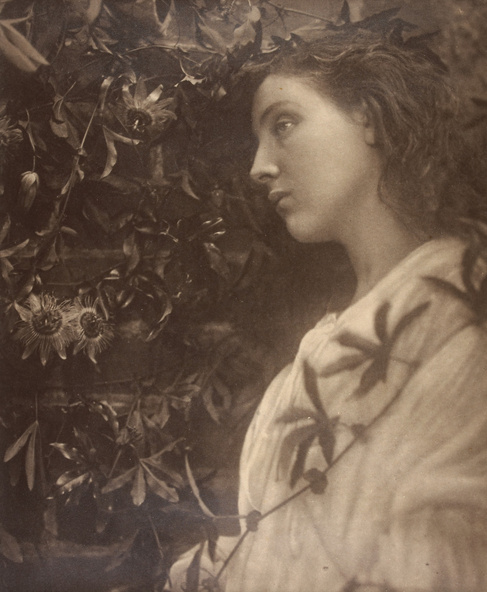 Julia Margaret Cameron-Maud