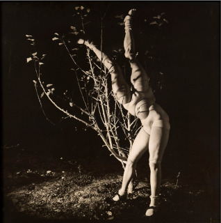 Hans Bellmer-La Poupée