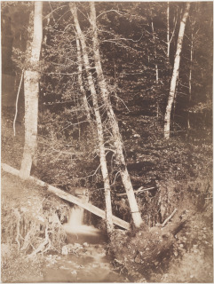 Ruisseau en forêt (Montmirail), Le Secq, Henri