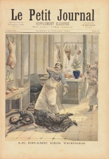Henri Meyer, François-Louis Méaulle-Le drame des Ternes, Supplément illustré du Petit Journal