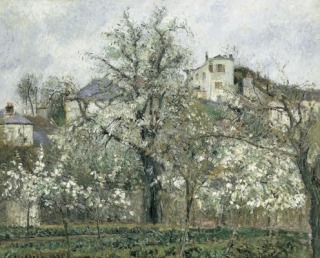 Camille Pissarro-Potager, arbres en fleurs, printemps, Pontoise (Primavera en Pontoise)