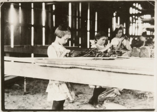 , Hine, Lewis