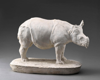 Rhinocéros, Bugatti, Rembrandt