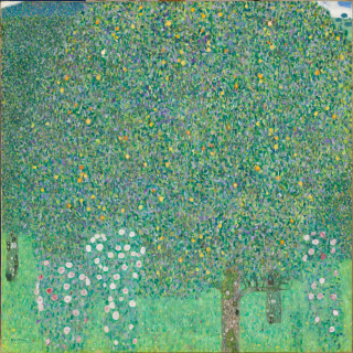 Rosiers sous les arbres, Klimt, Gustav