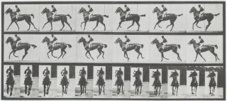 Eadweard Muybridge-Cheval au galop