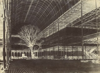 Benjamin Brecknell Turner-Crystal palace, Hyde Park, 1852, Transept