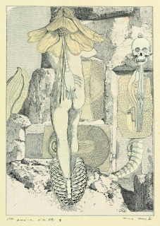 Max Ernst-Collage tiré de Une semaine de bonté. Premier poème visible 4