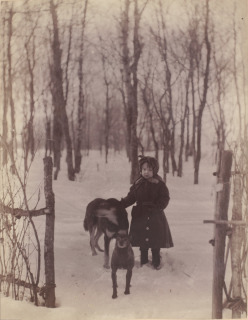Anonyme-Petite fille et deux chiens sous la neige, Russie, Album de photographies de famille russe, Fol.15, recto