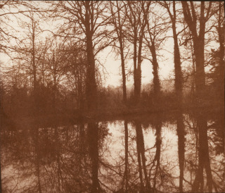 Arbres se reflétant dans l'eau, Lacock Abbey (Vers 1843), Talbot, William Henry Fox