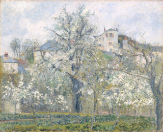 Camille Pissarro-Potager, arbres en fleurs, printemps, Pontoise