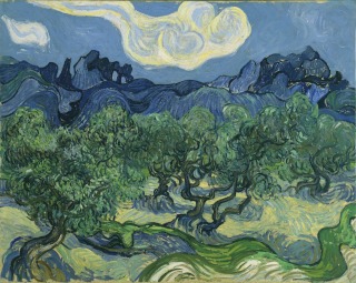Vincent van Gogh-Les Oliviers