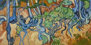 Vincent Van Gogh (1853-1890), Racines d’arbres