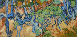 Vincent Van Gogh (1853-1890), Racines d’arbres