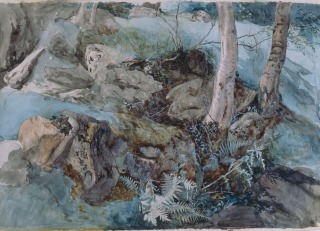 John Ruskin-Roches et fougères dans un bois à Crossmount, Perthshire
