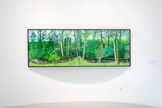 A year in Normandie, David Hockney